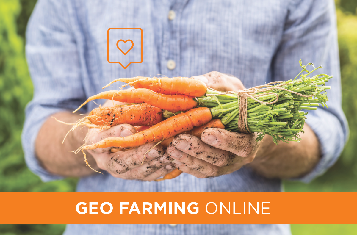 How To Grow Your Geo Farm Using Online Marketing